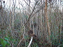 dsc00639
